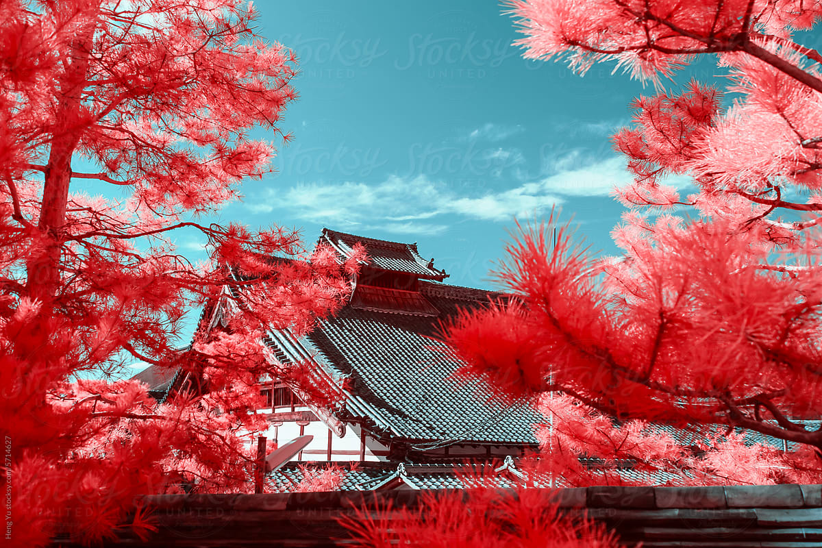 Infrared Photography of a Traditional Asian Pagoda