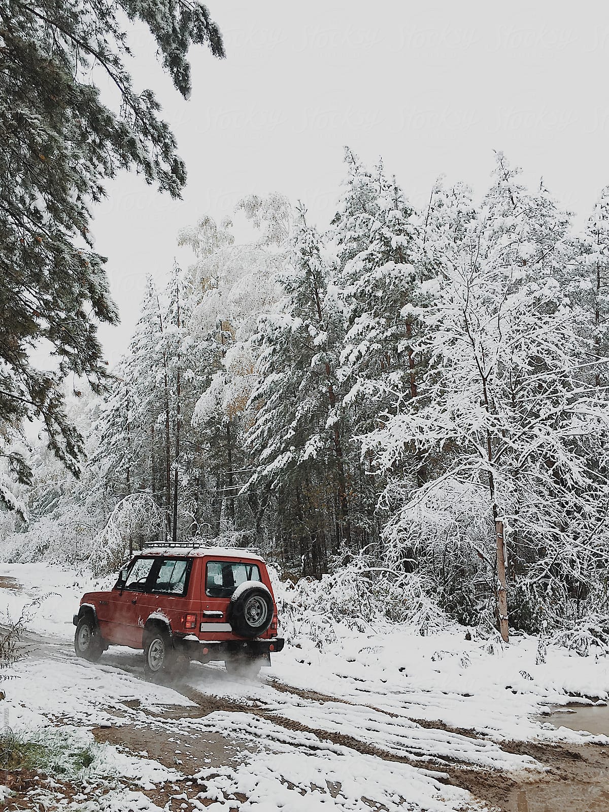 Jeep driving in snowy woods
