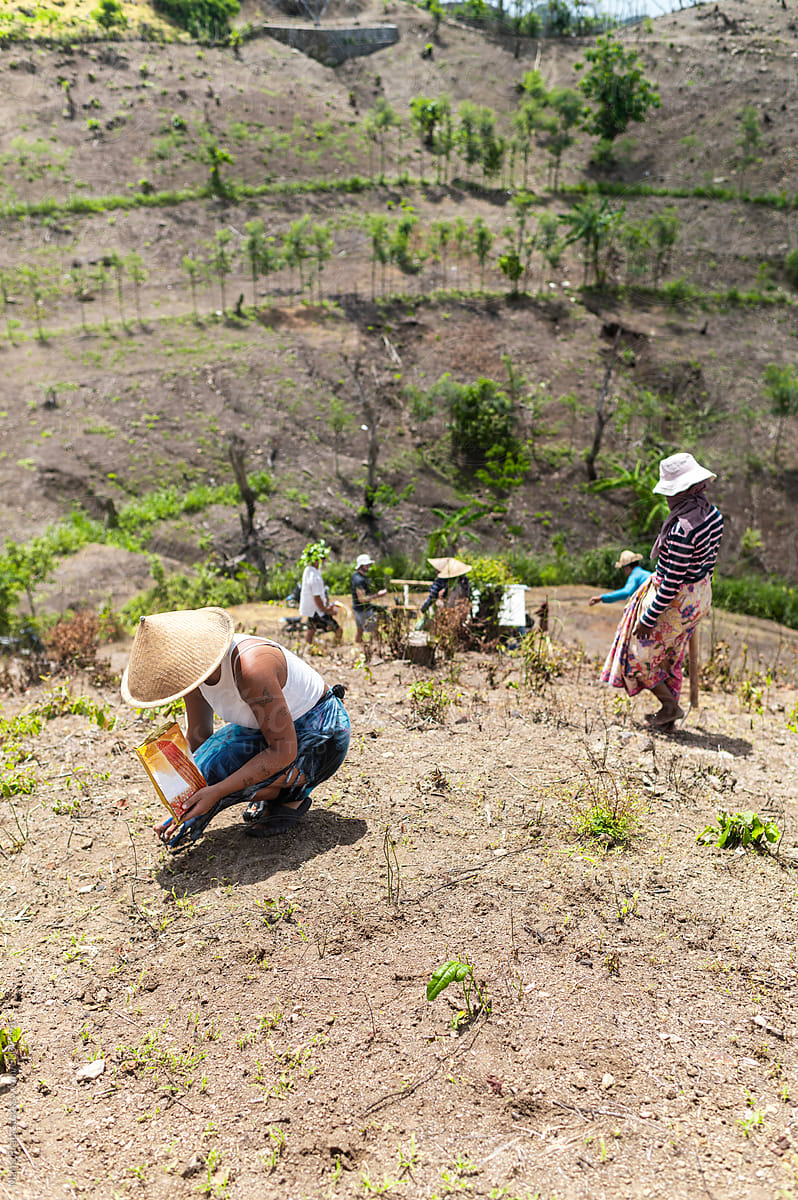 Woman traveler cooperate planting on the farm