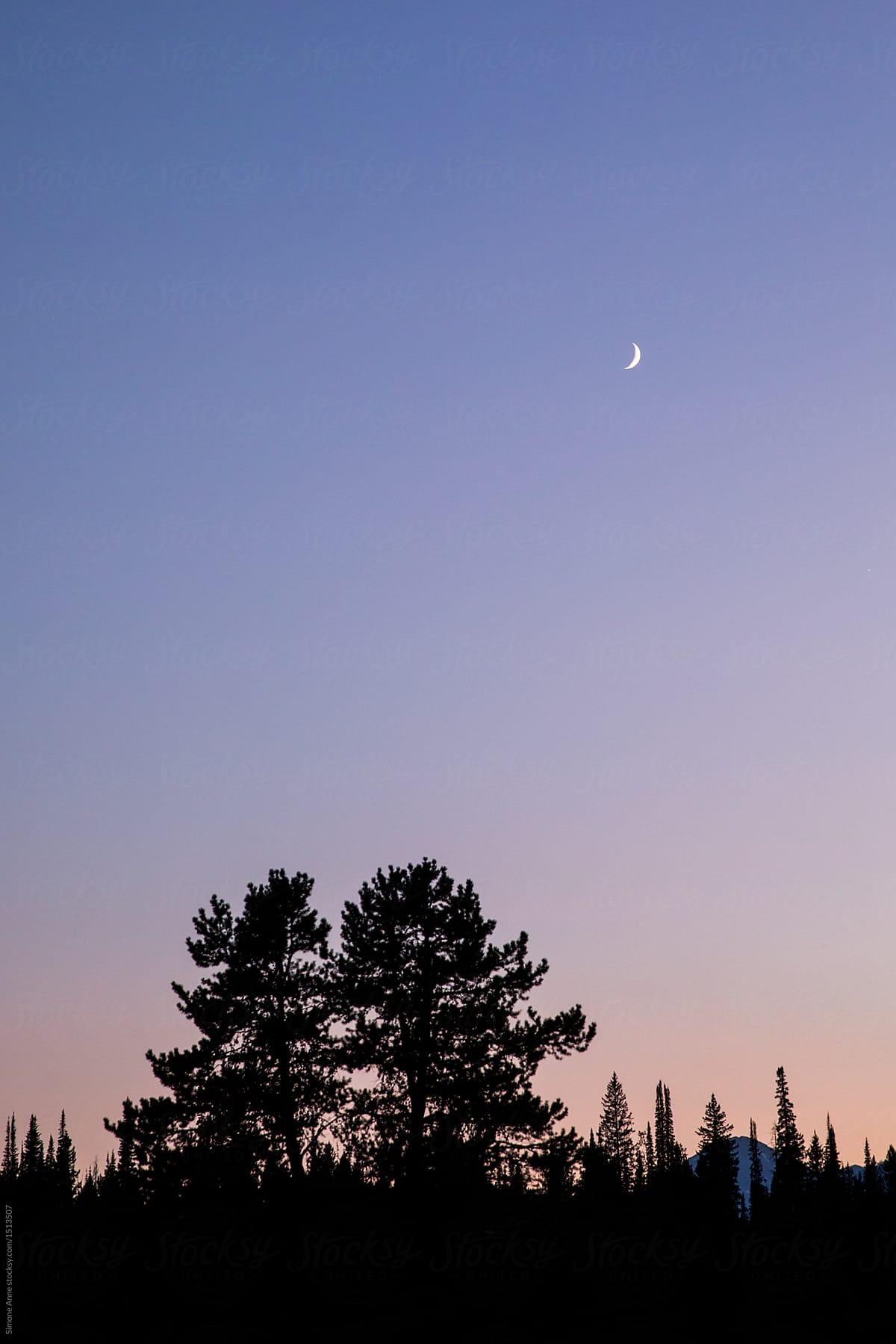 Small Crescent Moon Over Mountains And Trees At Sunset By Simone Anne