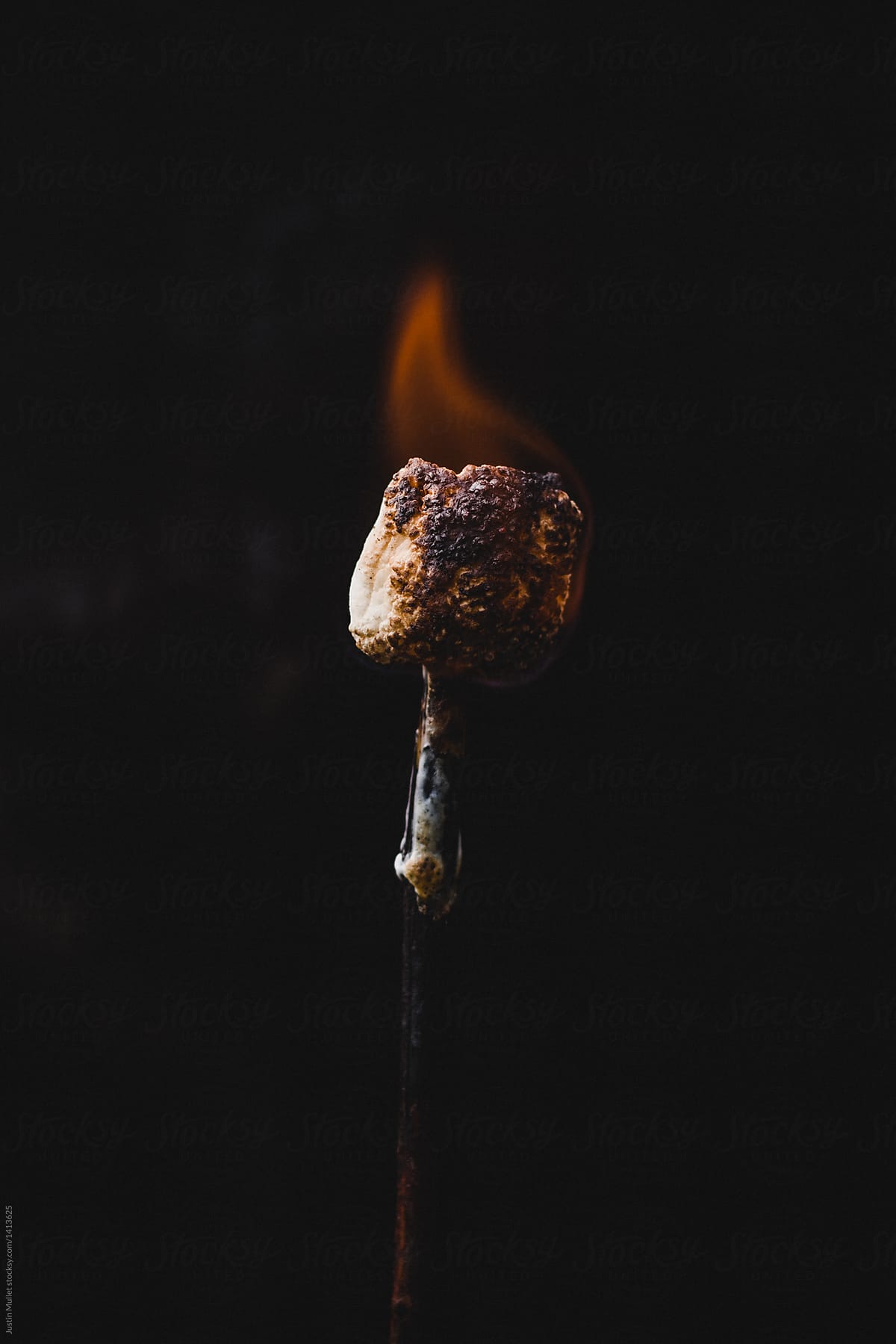 Roasted marshmallow burning on a stick