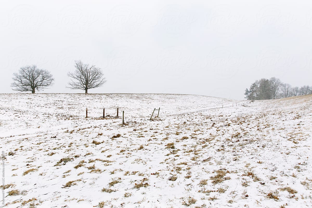 Rural Winter Scene in Massachusetts