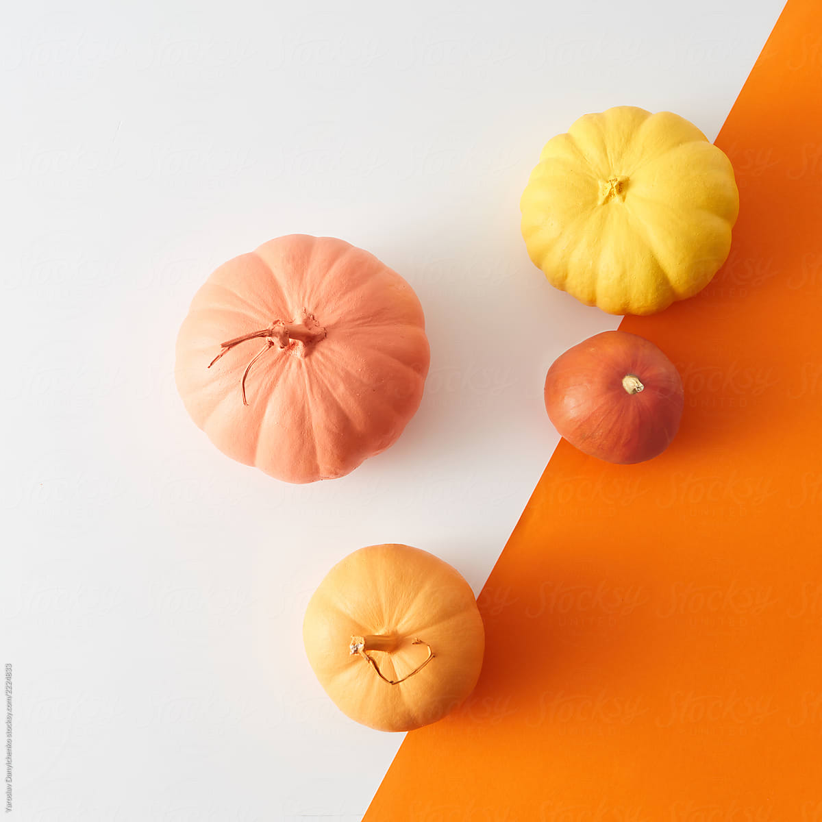 Creative autumn pattern with colorful painted pumpkin on a duotone white orange background with copy space. Flat lay. Greeting card