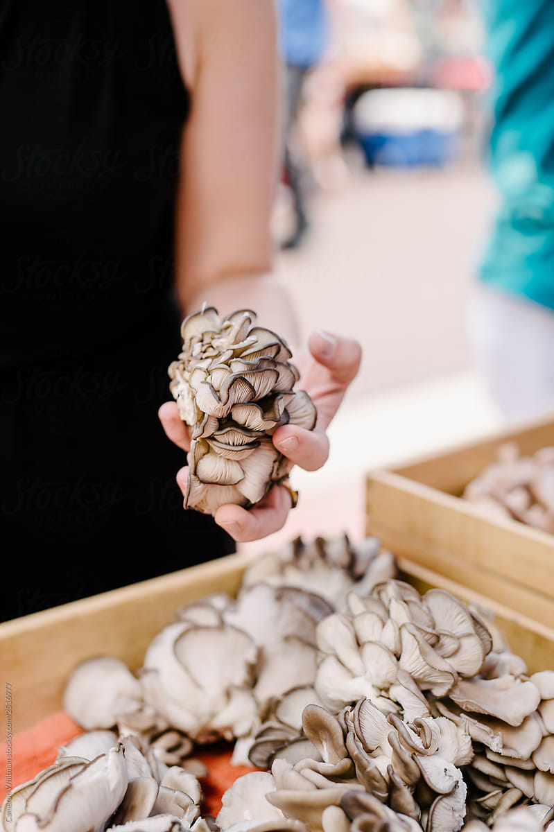 Woman holding up a bunch of oyster mushrooms