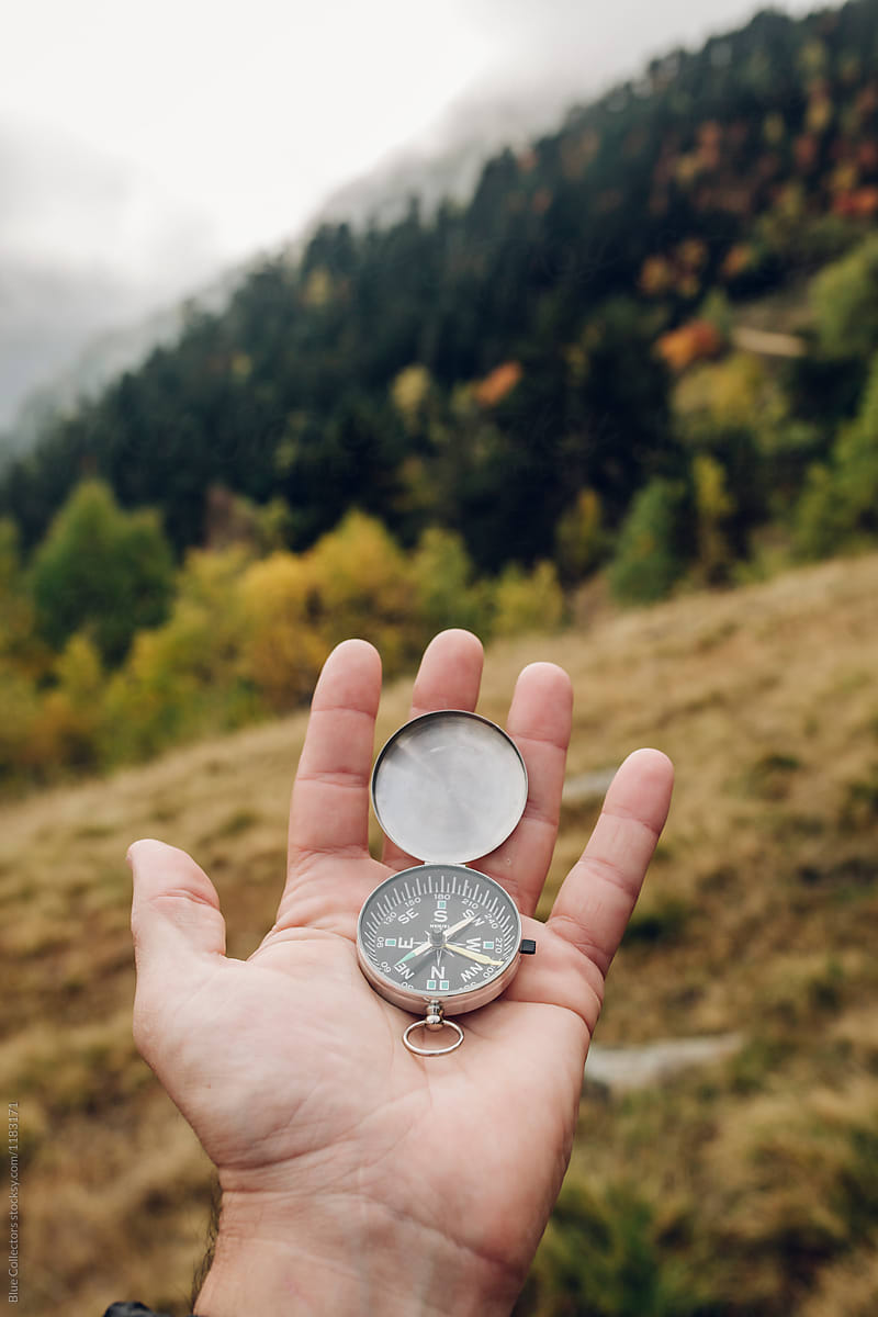 hand holding compass into the forest