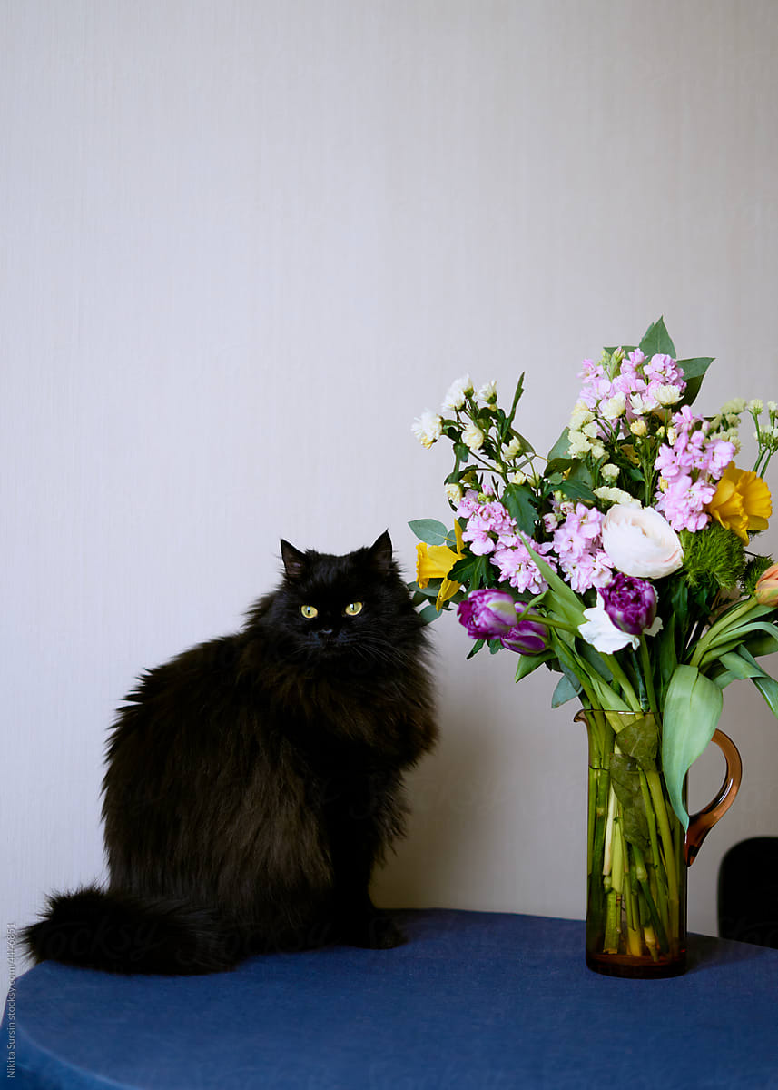 black cat posing on a table next to a vase of flowers