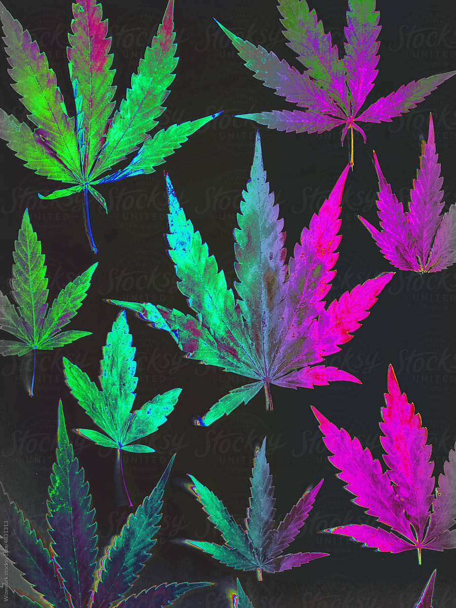 Iridescent marijuana, cannabis leafs background
