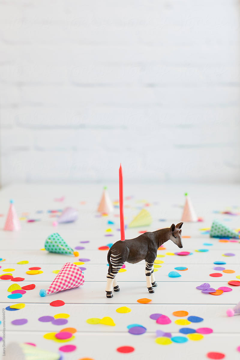 okapi-shaped-toy-with-birthday-candle-on-back-amongst-colourful