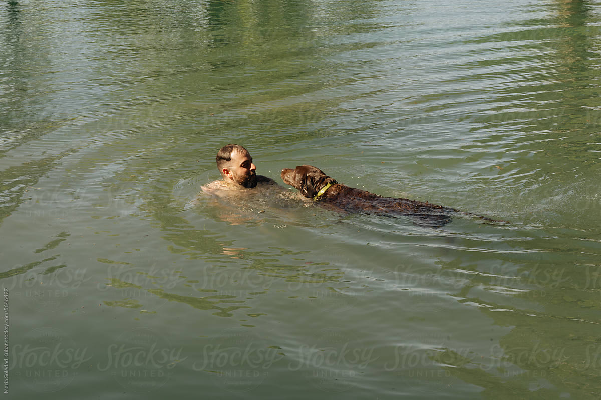Man and brown lab dog jump into lake