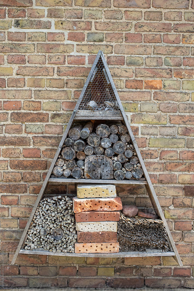 Installation of an insect hotel