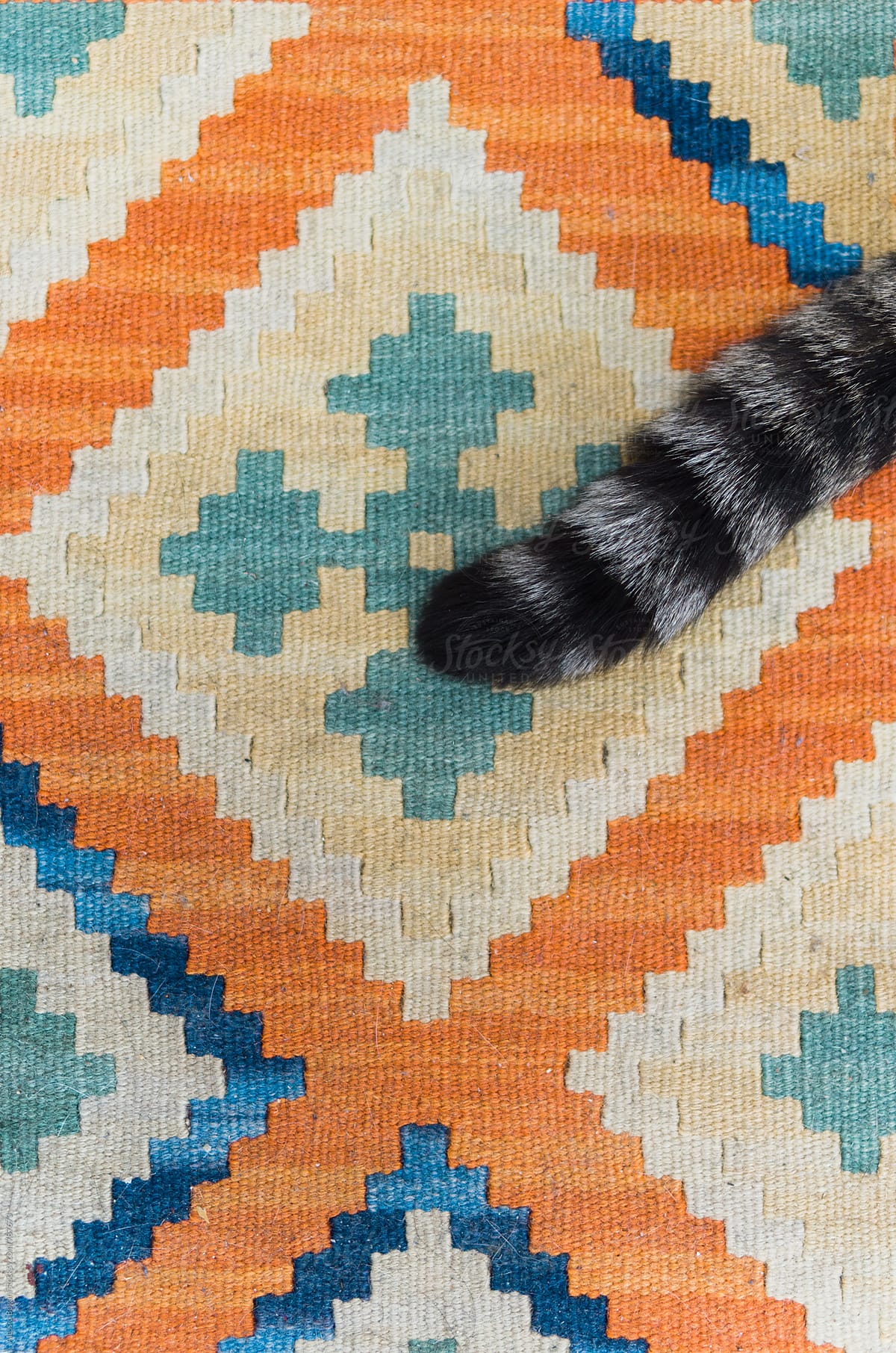 Cat tail