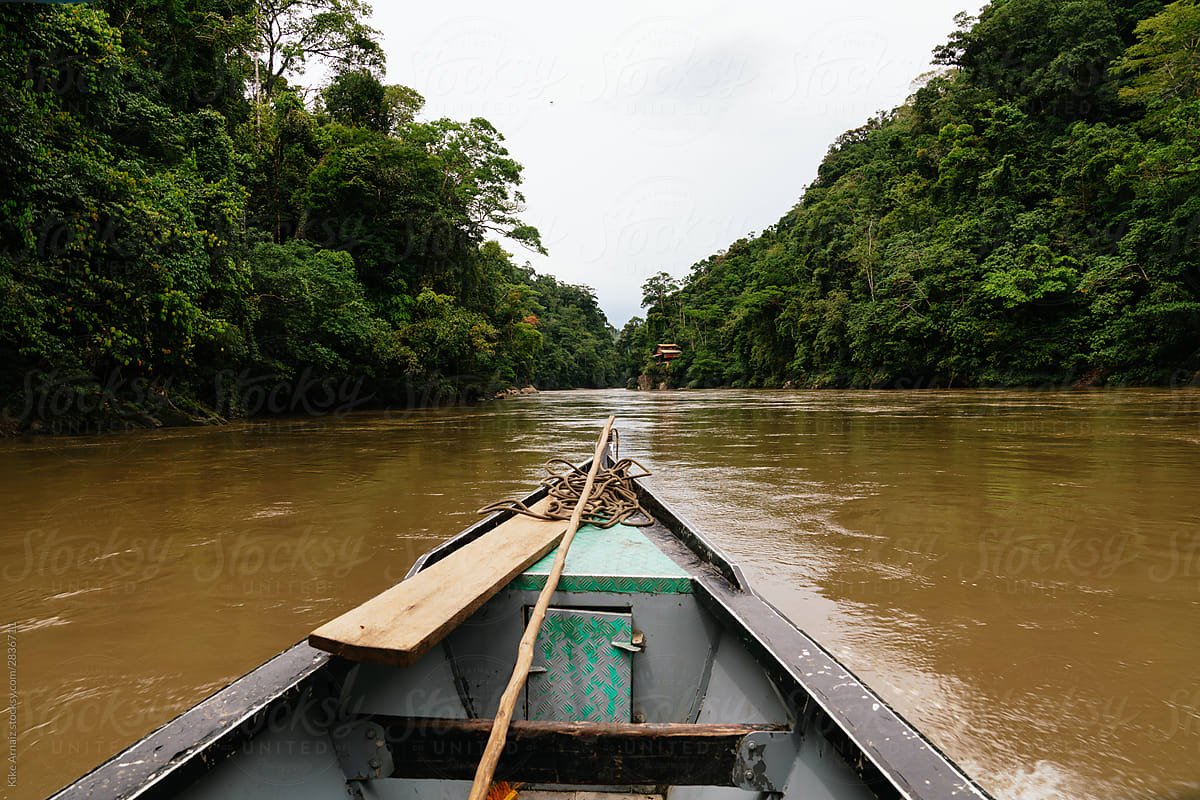 boat tour in amazonian river