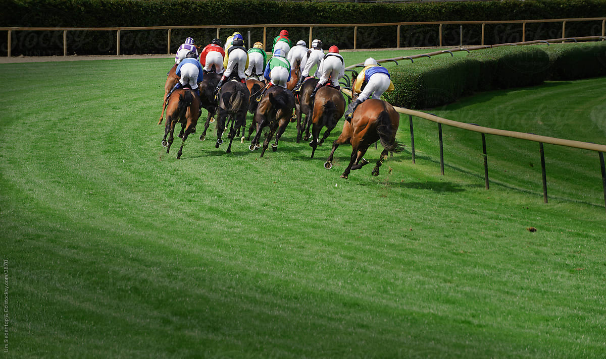 Horse race from behind