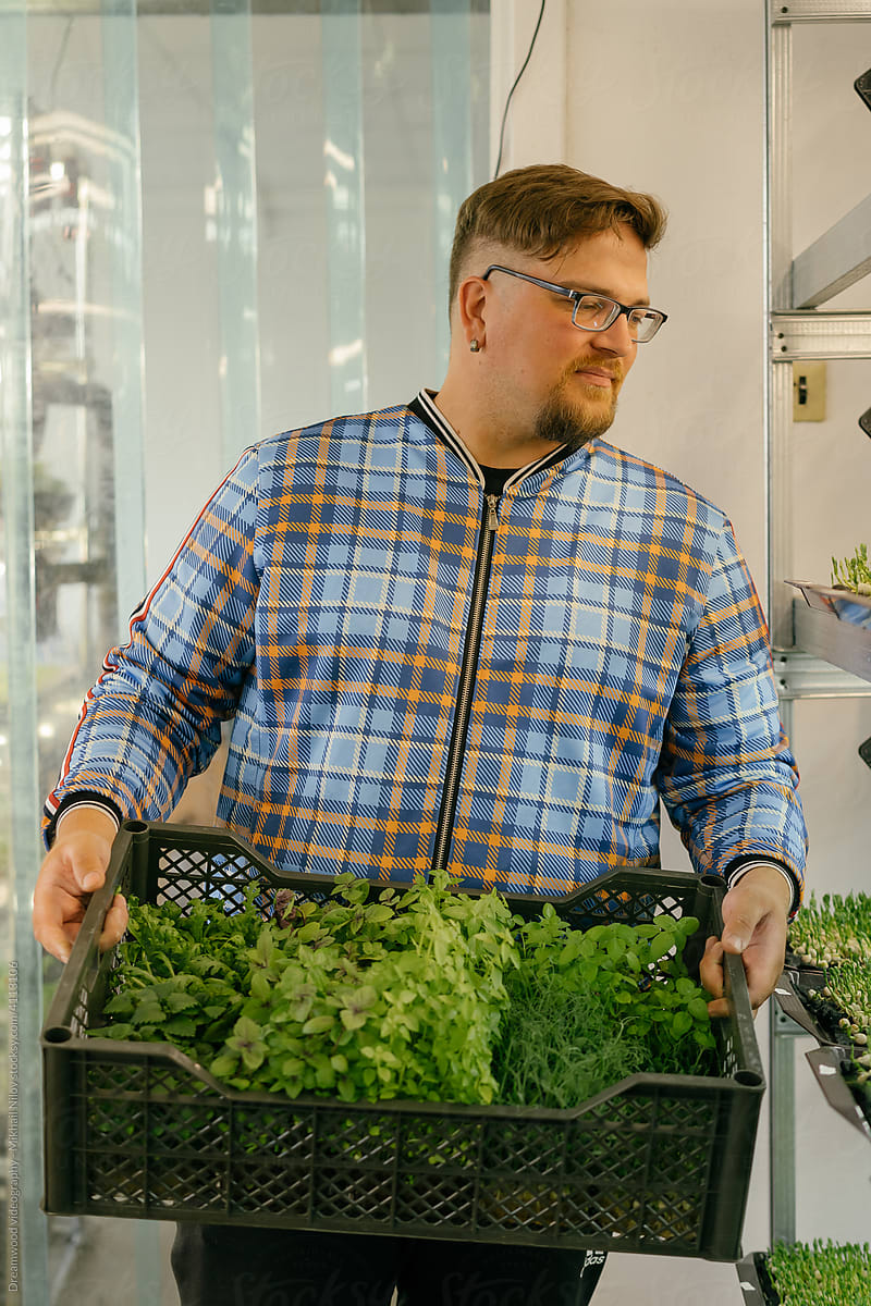 A man holds a container with sprouts of micro greenery