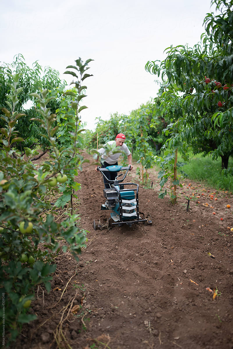Rural Man With Cultivator Working In Garden