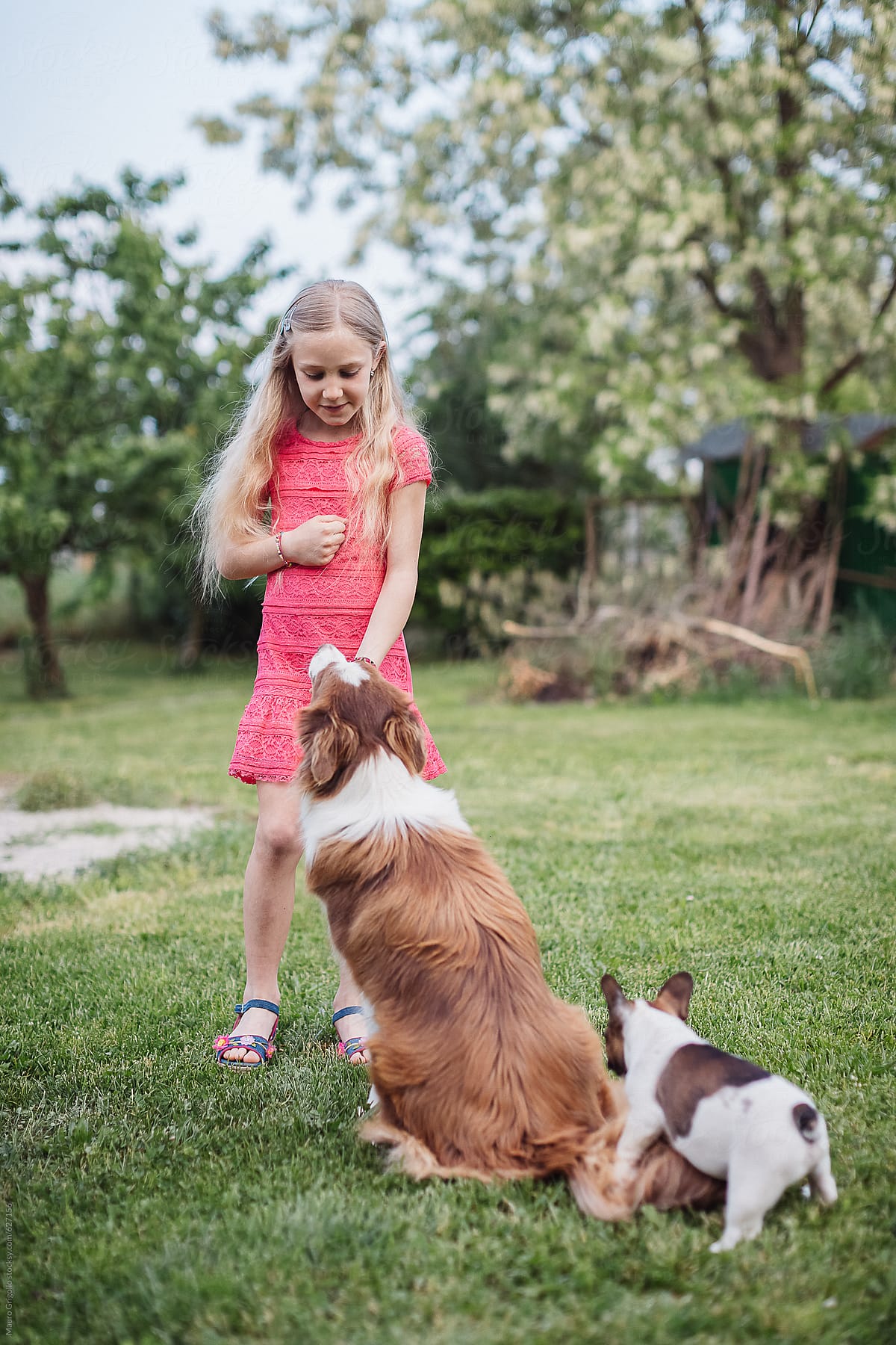 Young girl playing with her dogs