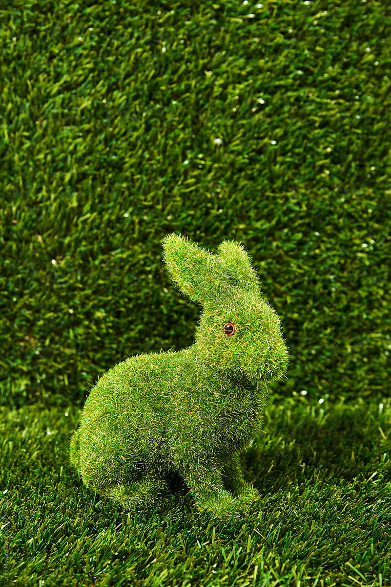 grass easter rabbit standing on the grass