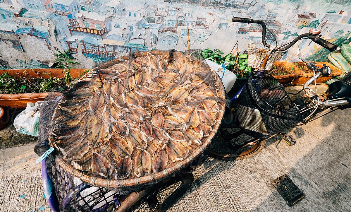 Fish Drying on the back of a Bike in Tai O, Hong Kong