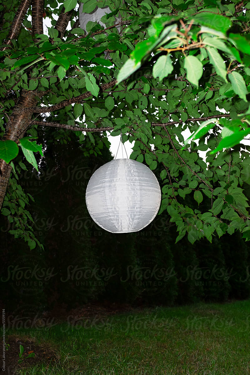 Garden party sphere paper lanterns on a tree with hard flashlight