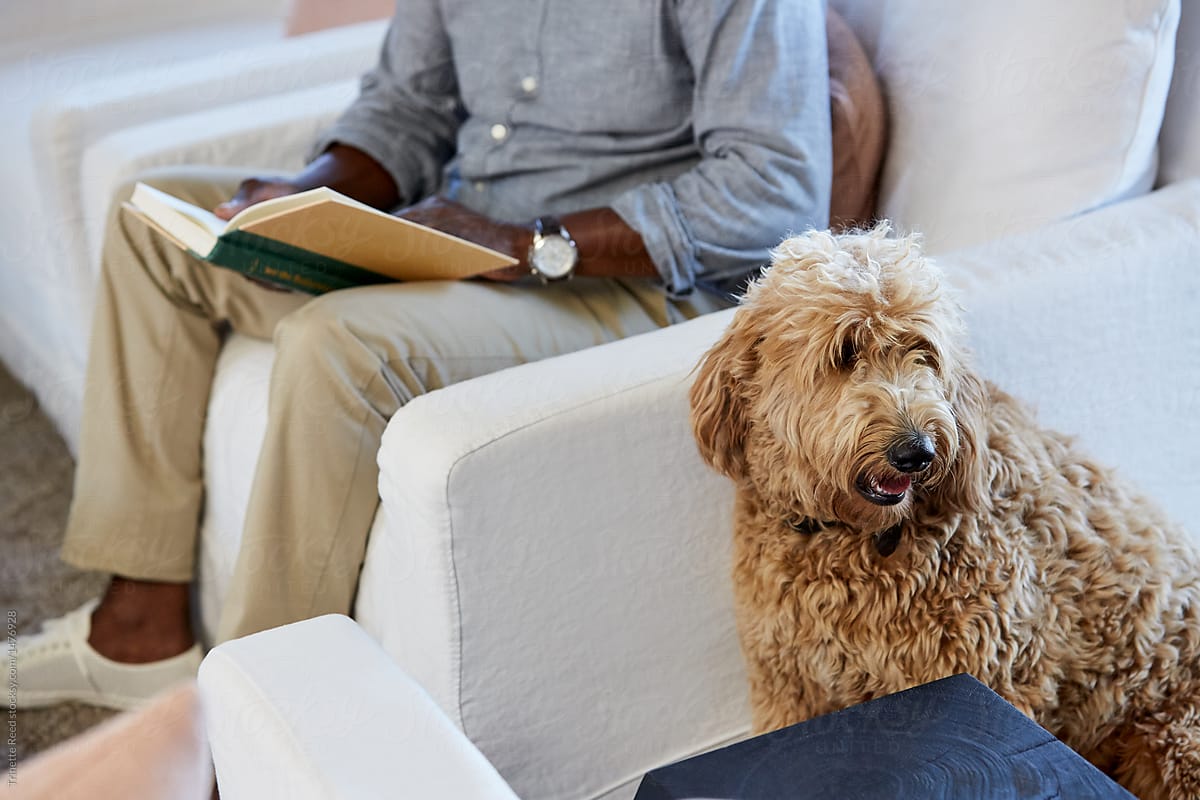 Senior man relaxing in living room while reading a book with his dog next to him