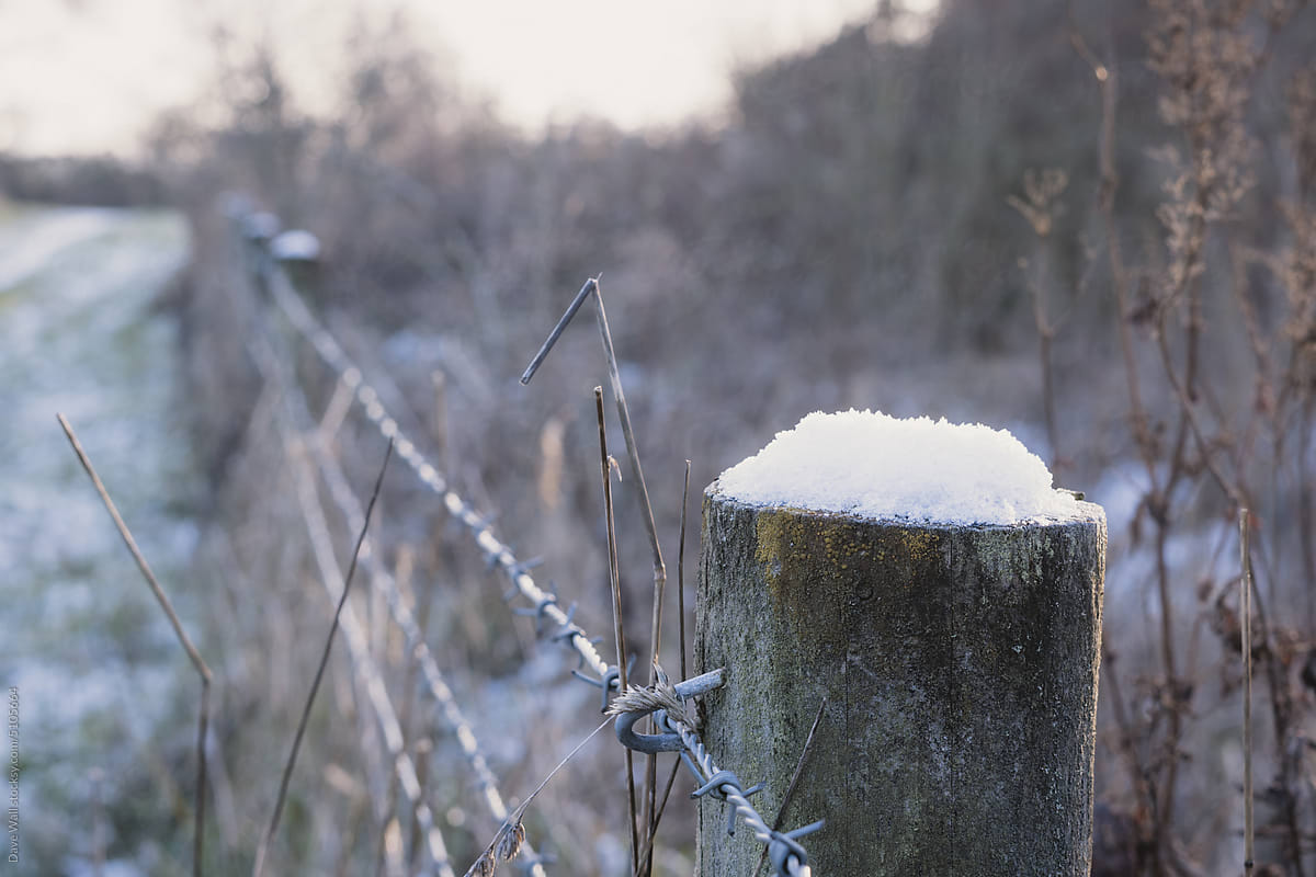 A close up of a fence with snow on top in winter