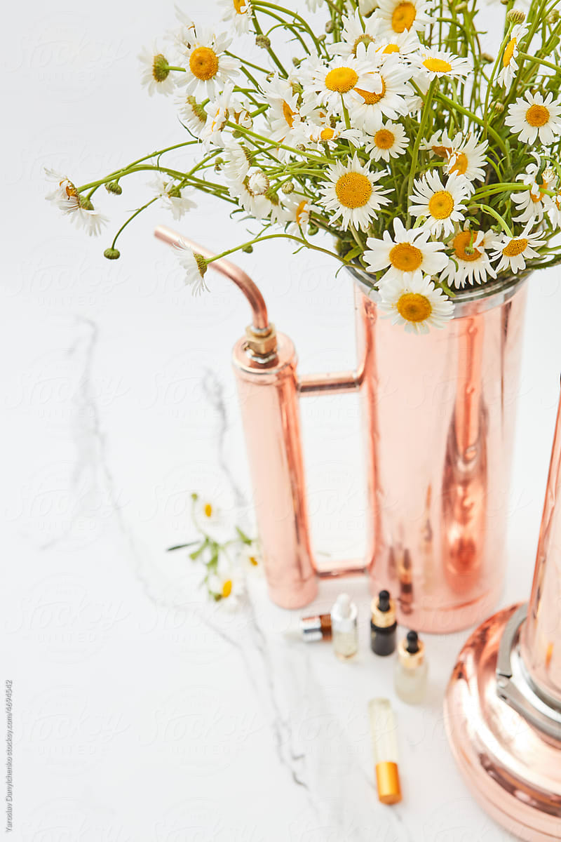 Distilling apparatus with Chamomile flowers