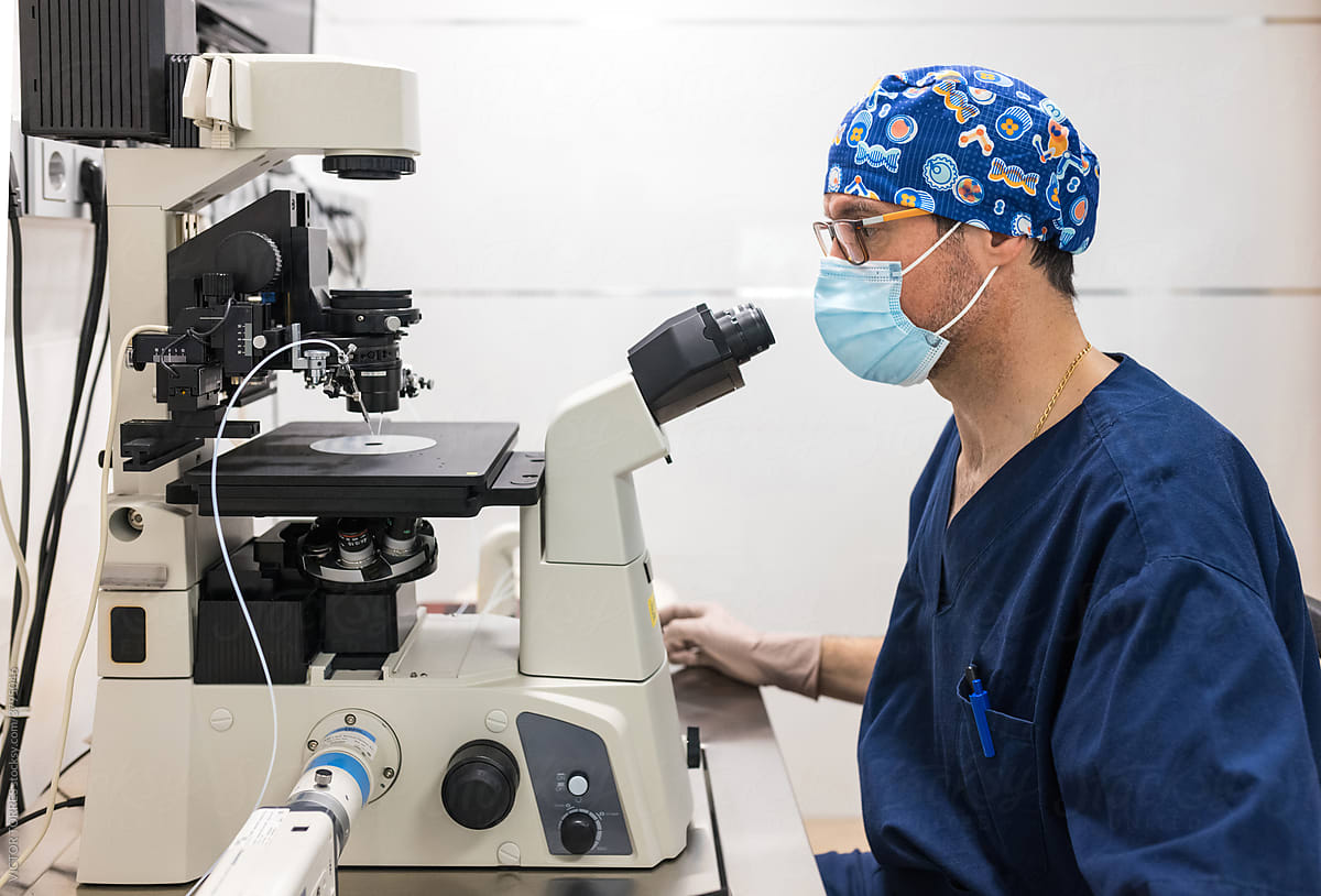 Medical specialist using microscope in IVF laboratory