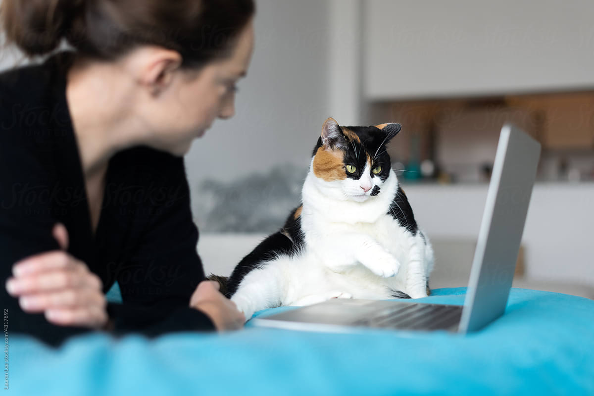 Woman watching something with cat
