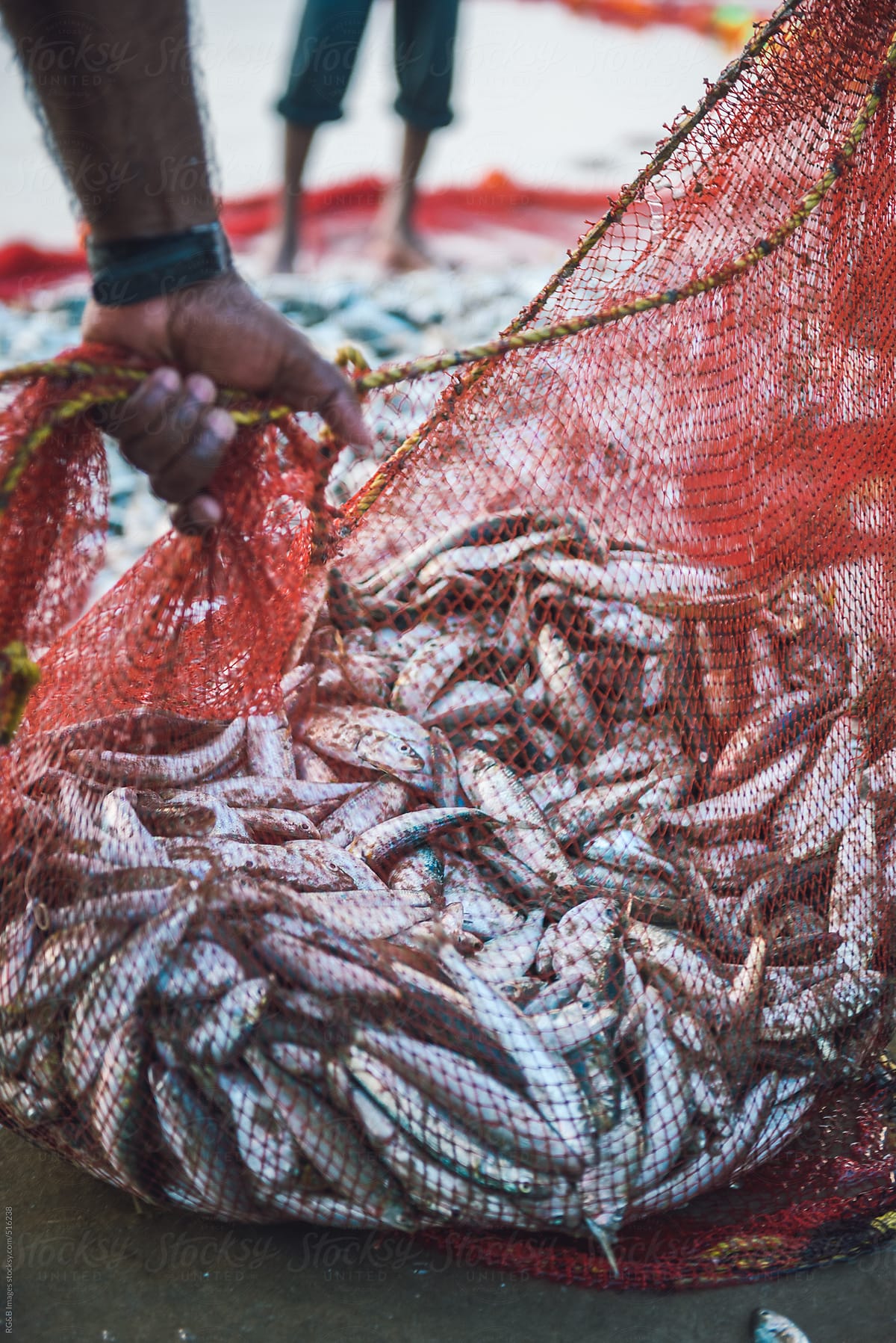 Caring a fishnet full of fish