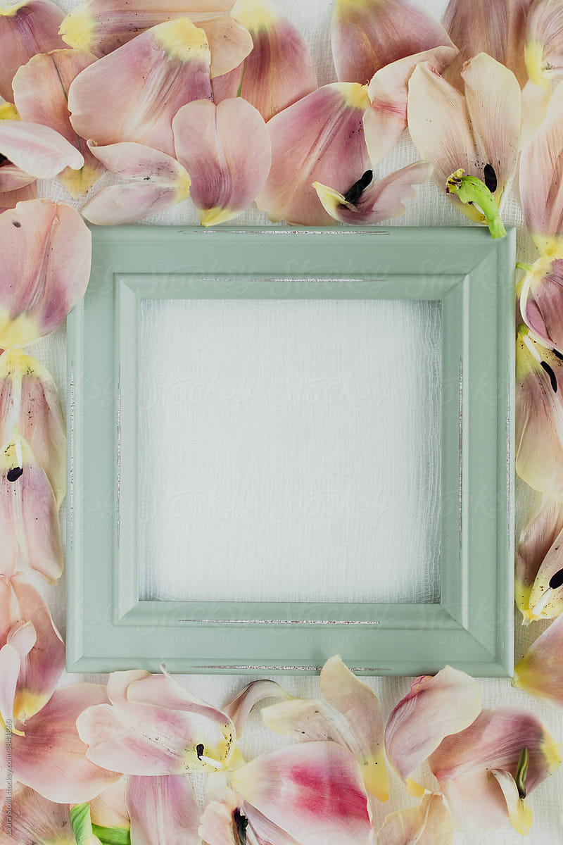 Empty frame and flower petals