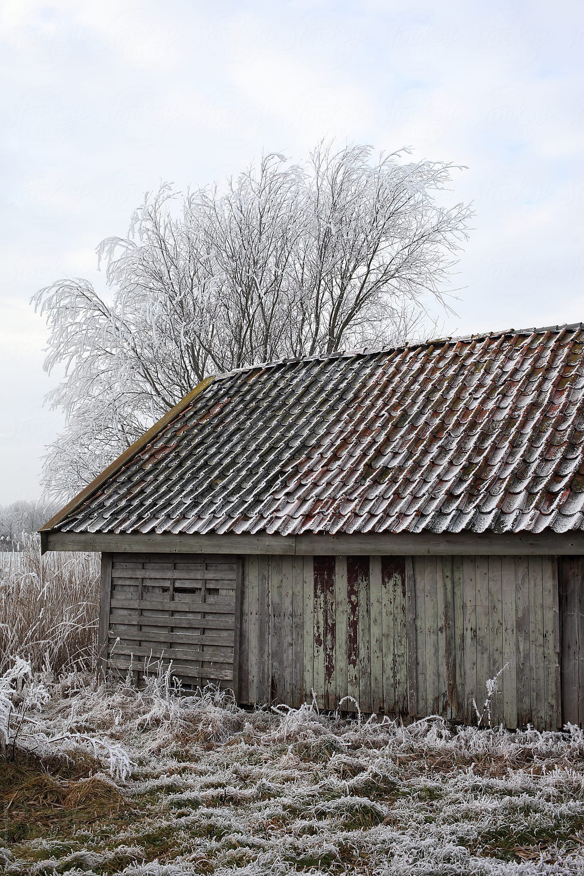 Rustic old barn in frozen field in winter