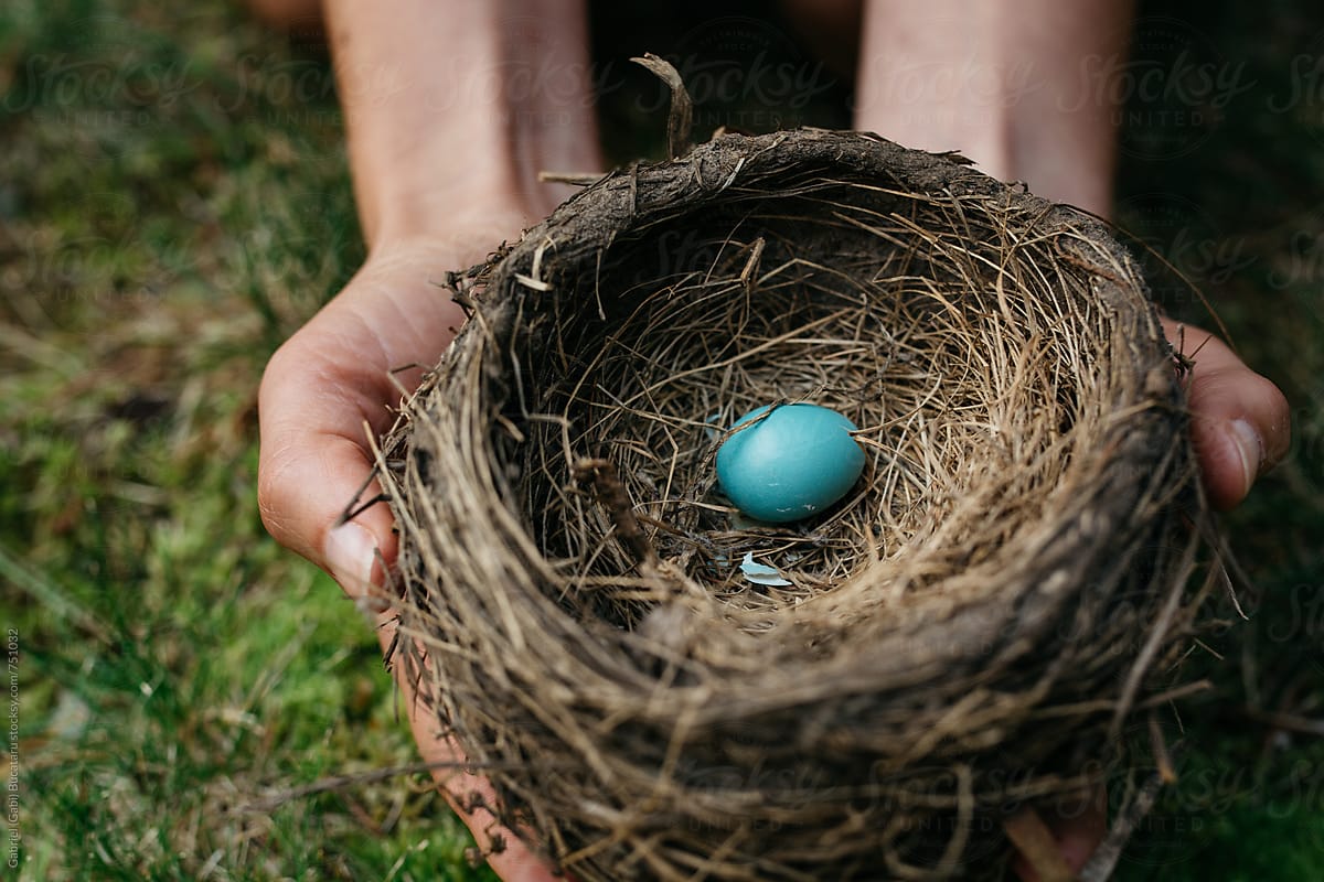 Woman holding a robin\'s nest with one egg in it