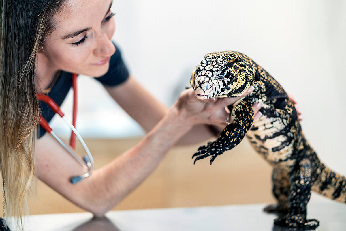 Portrait of Female Veterinarian Examining Reptile