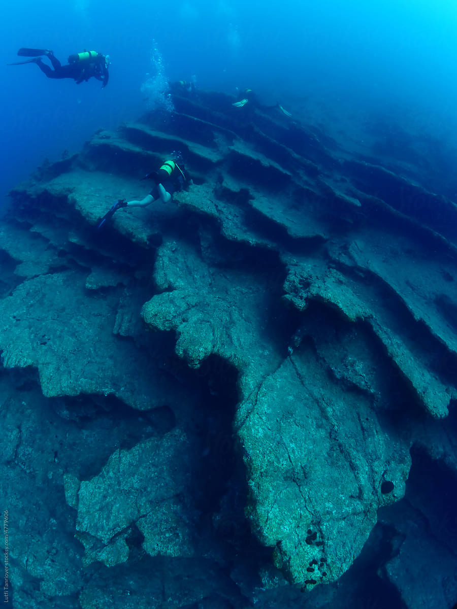 scuba diver exploring around a reef