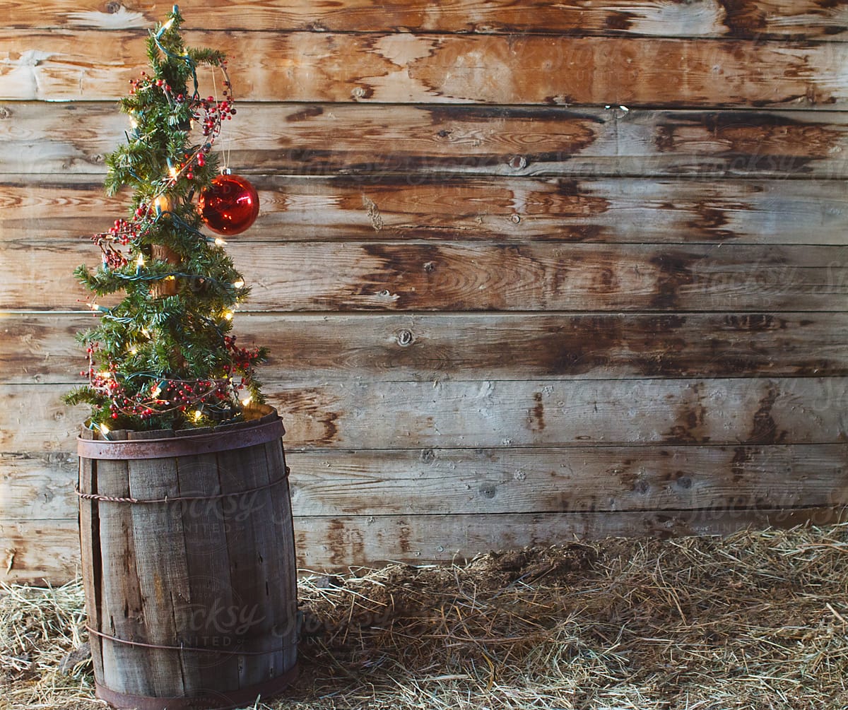 alpine Christmas tree in barrel decoration
