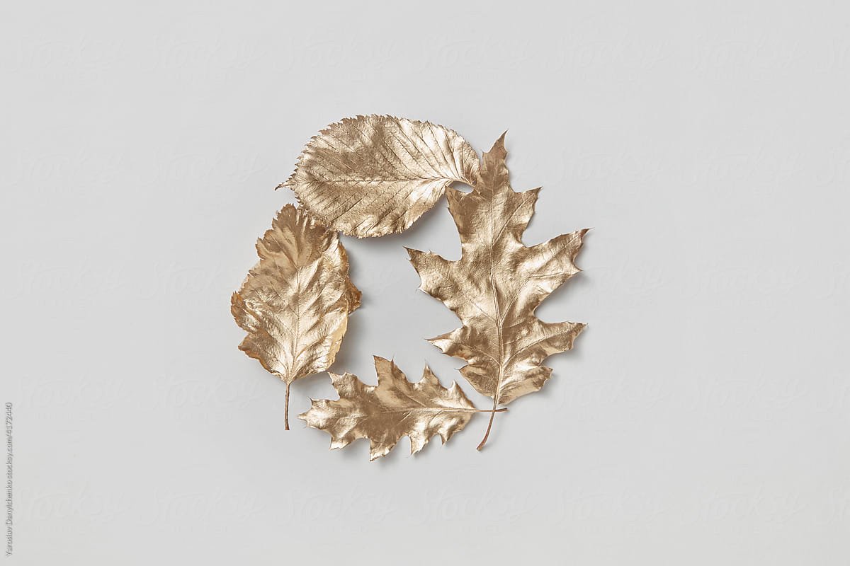 Painted leaves on white background