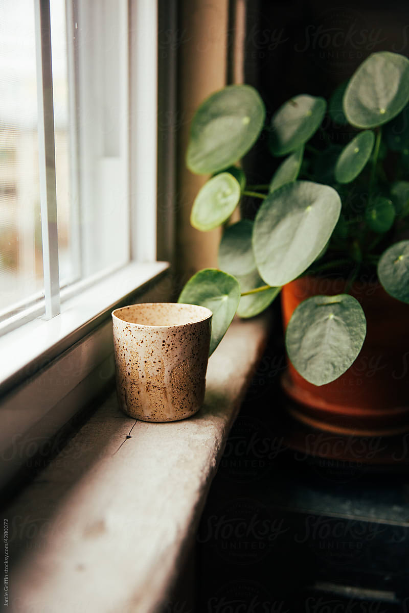 Handmade Ceramic Cup on a Window Sill