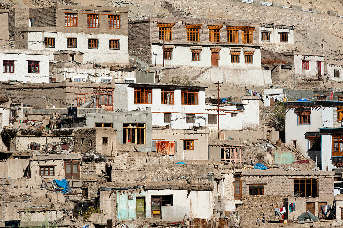 View of houses in the town of Leh, Ladakh, India.