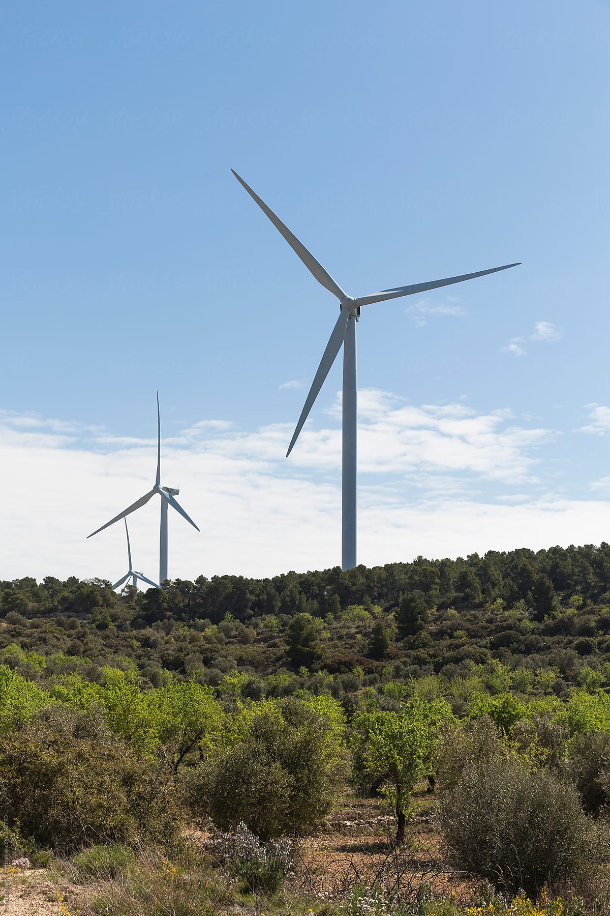 Windmills for sustainable renewable energy in rural landscape