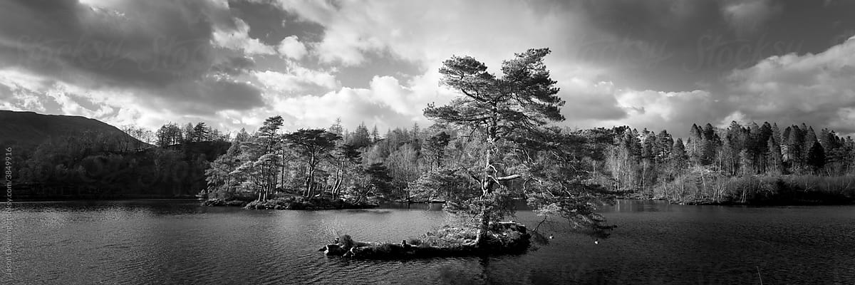 Tarn Hows BLakc and White Lake District