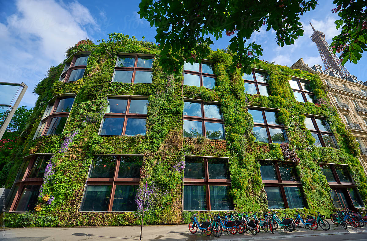 Urban living green wall and share bicycles  - green liveable cities