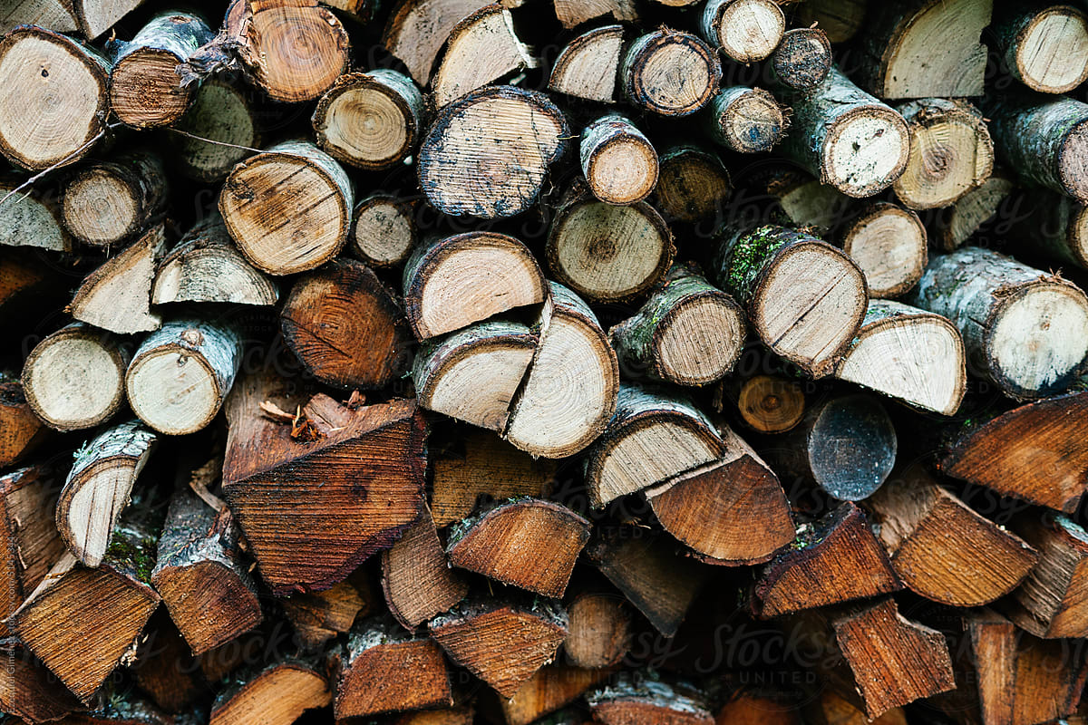 Woodpile in countryside yard in daytime