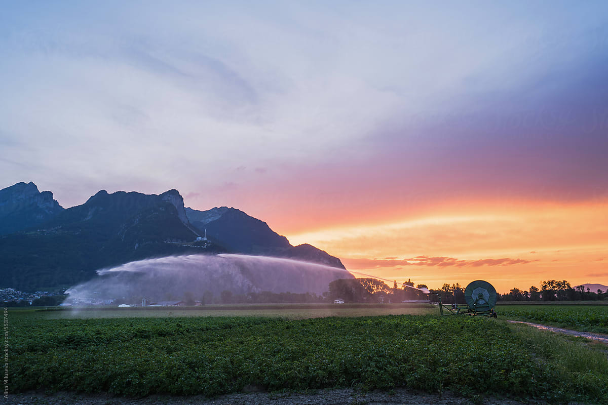 Irrigation System Watering Field At Sunset