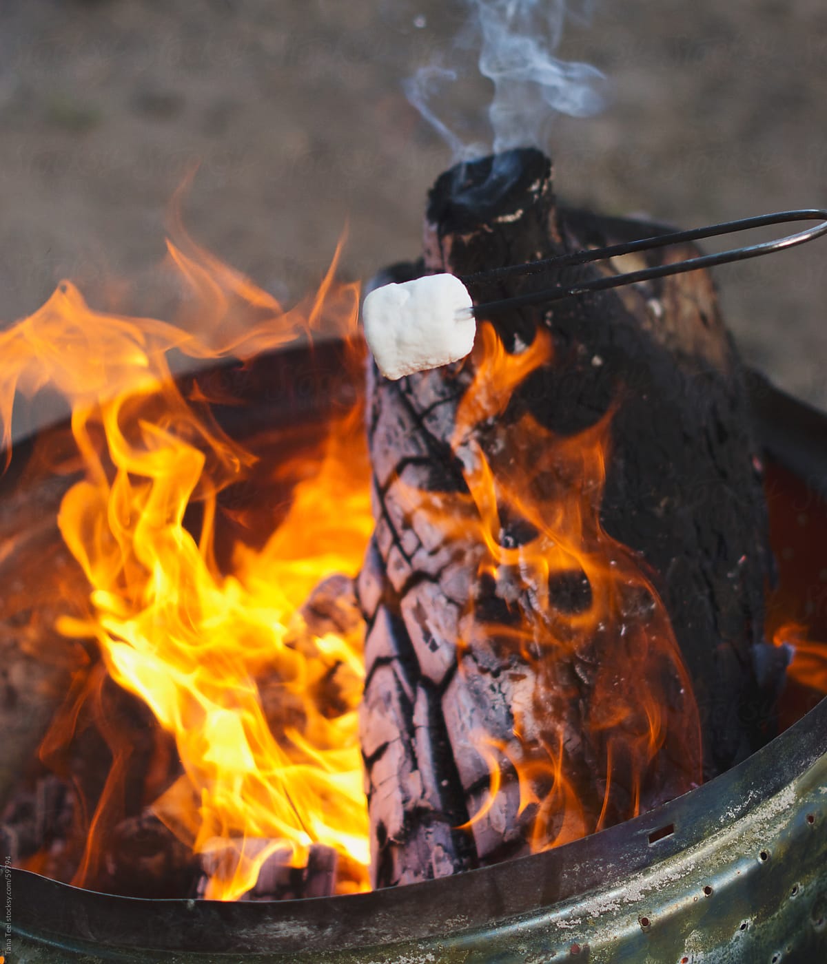 A marshmallow roasts over an open campfire