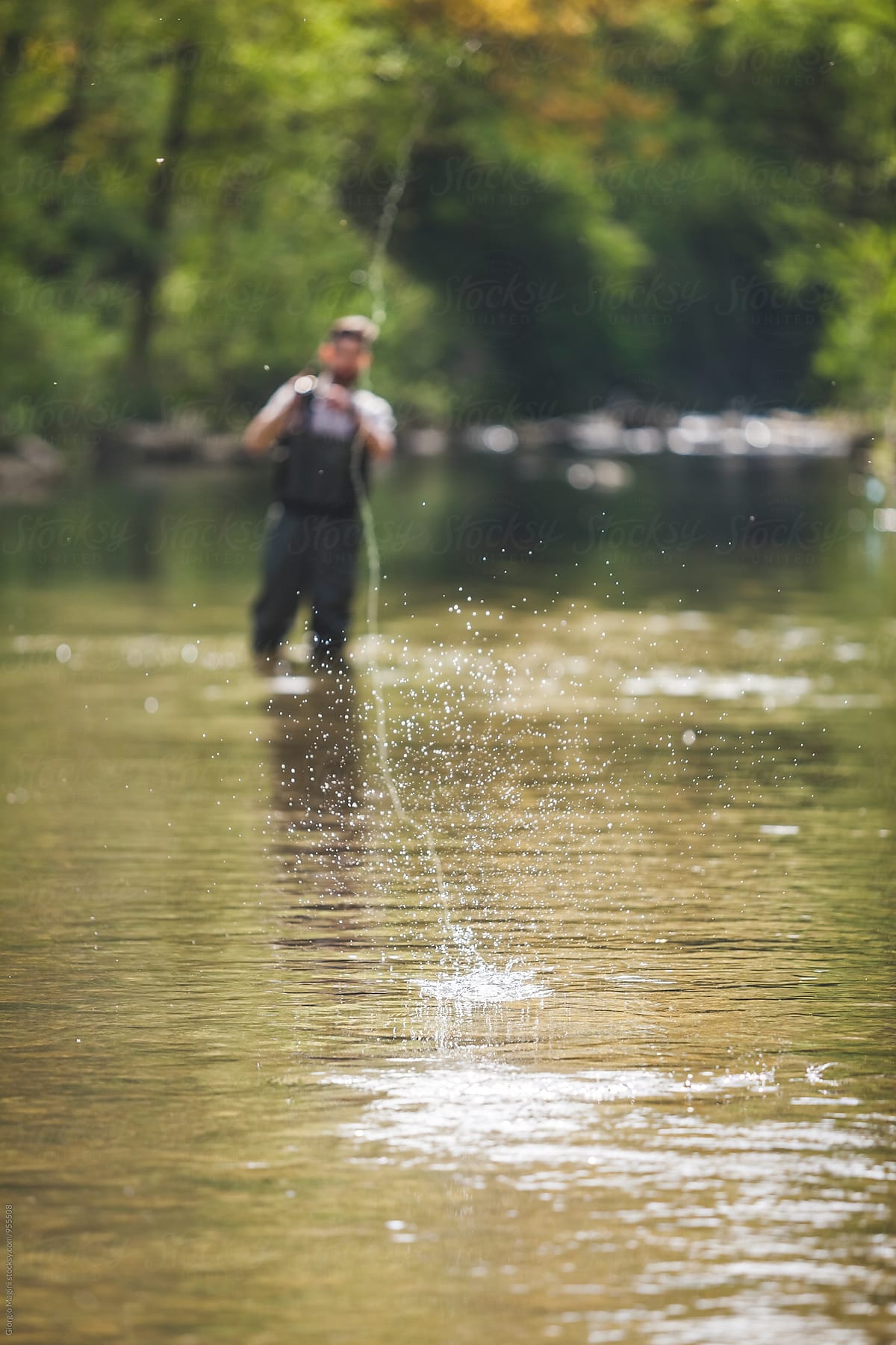 Bait Splashing in Freshwater, Fishing in a River