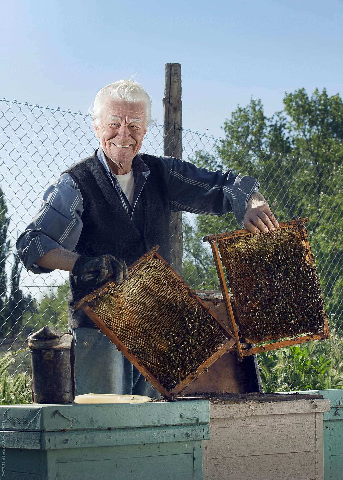 Senior beekeeper showing his bees.