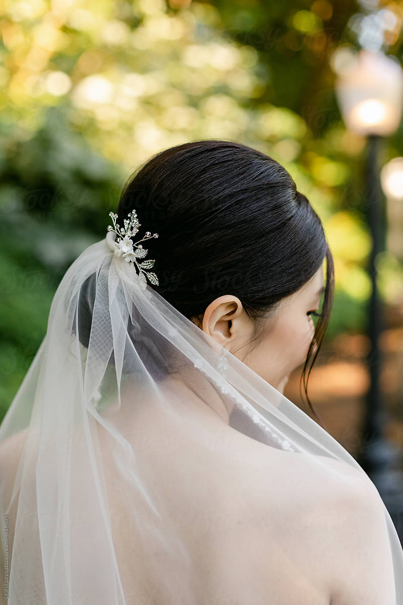 Romantic, Closeup Portrait of Veil over Bride\'s Shoulders