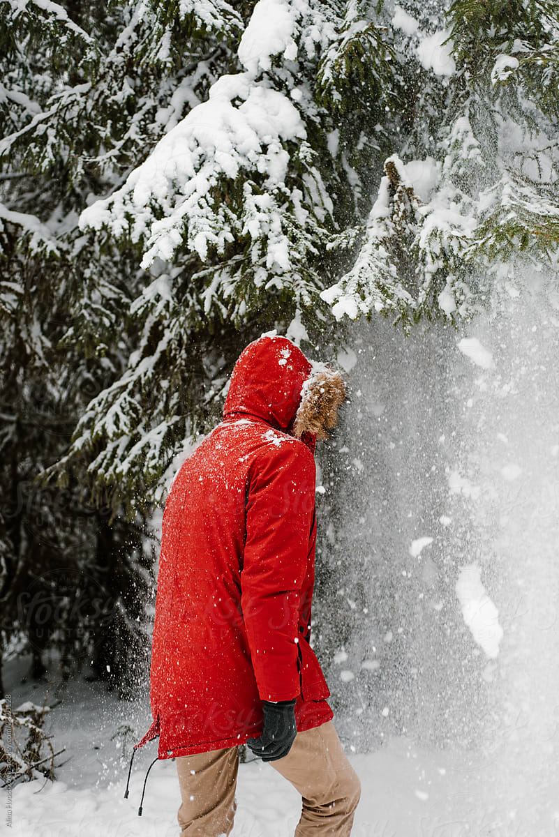 Anonymous guy standing near conifer tree with falling snow