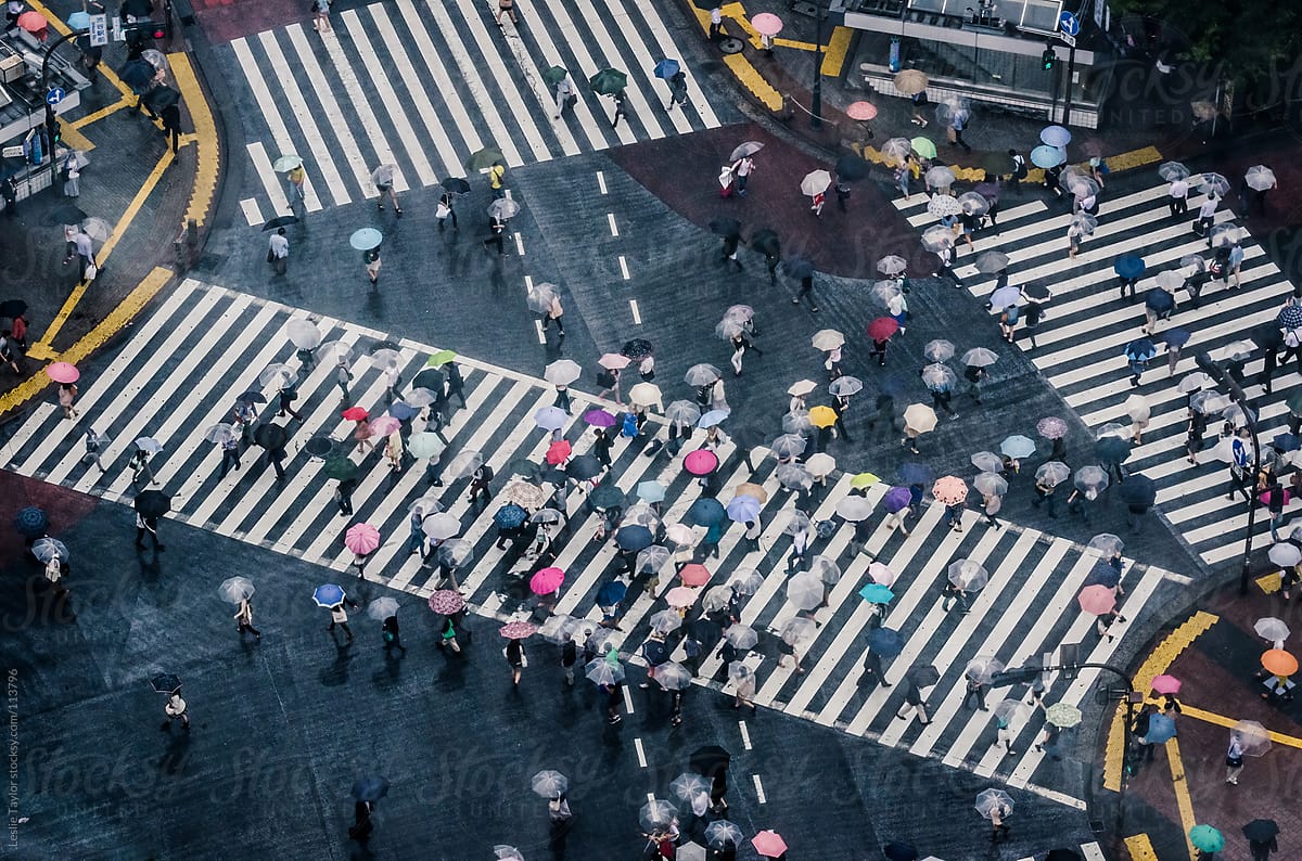 People With Umbrellas At Shibuya Crossing On A Rainy Day
