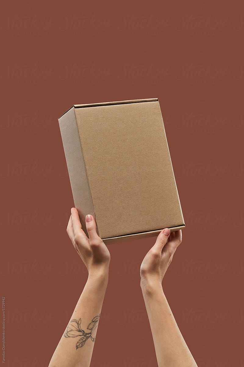 Crop of female hands with tattoo lifting cardboard box